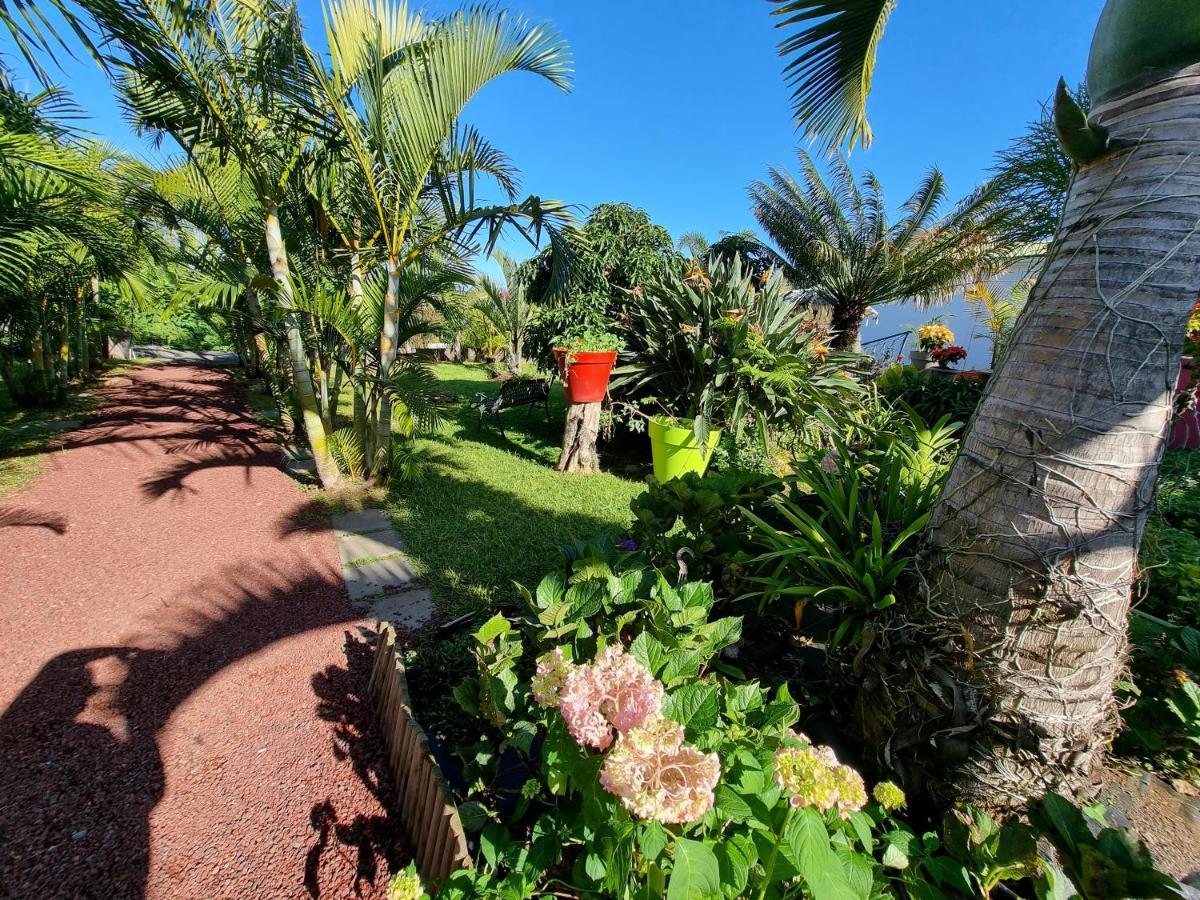Le Palmier De La Paix Bed & Breakfast เลอ ตอมปง ภายนอก รูปภาพ