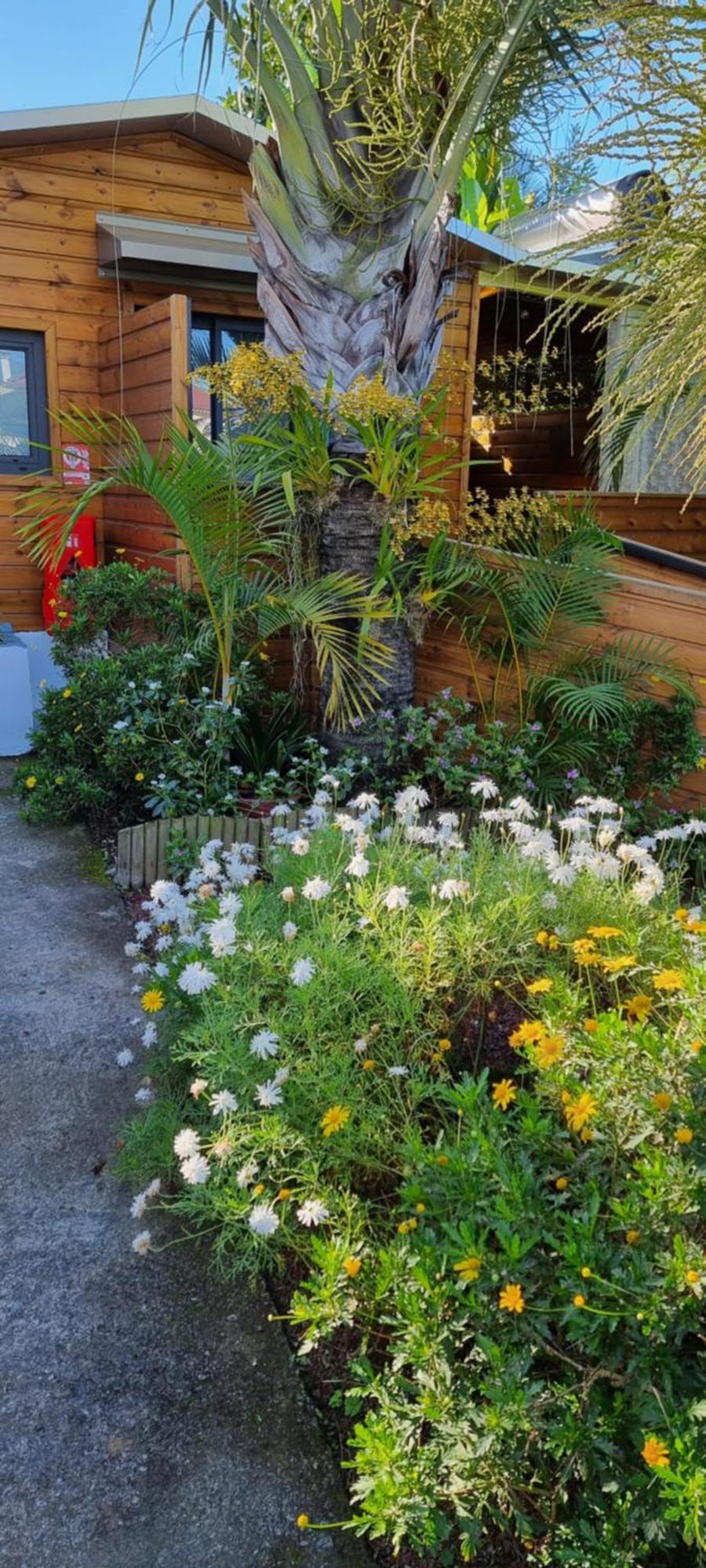 Le Palmier De La Paix Bed & Breakfast เลอ ตอมปง ภายนอก รูปภาพ